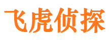 灵武侦探公司